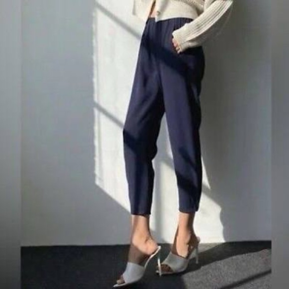Aritzia Babaton Linen Navy Ankle Pants